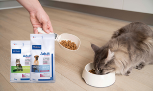 Zamów Starter Kit - uzupełnij zapas